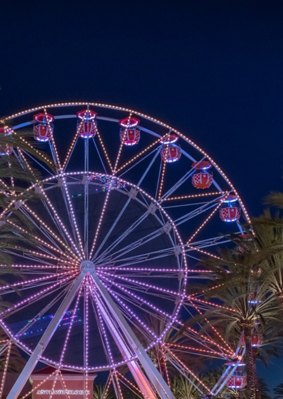 Ferris Wheel at Night