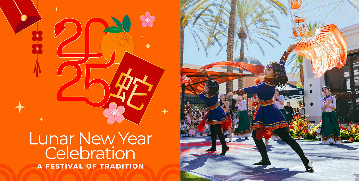 Lunar New Year Celebration | A Festival of Tradition